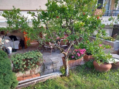 Panorama Apartment | 55 m² Apartment ∙ 1 bedroom ∙ 4 guests