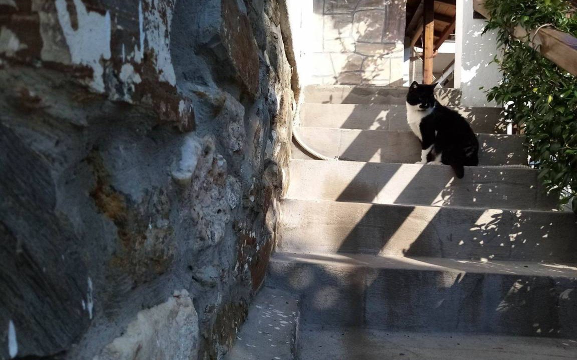Agios Nikolaos Apartment | 60 m² Apartment ∙ 2 bedrooms ∙ 5 guests