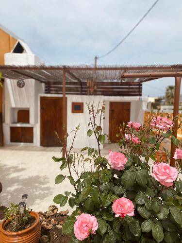Archangelos Apartment | 78 m² Apartment ∙ 2 bedrooms ∙ 4 guests