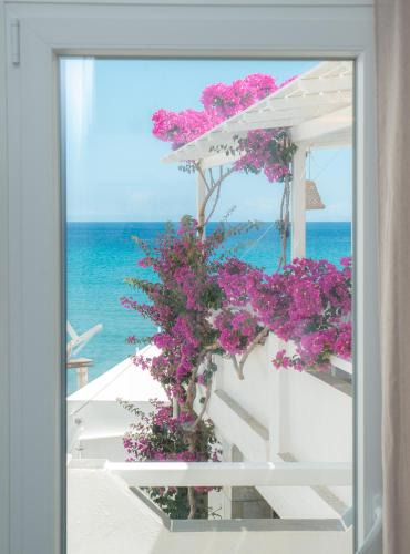 Platis Gialos Apartment | Akrogiali Pension