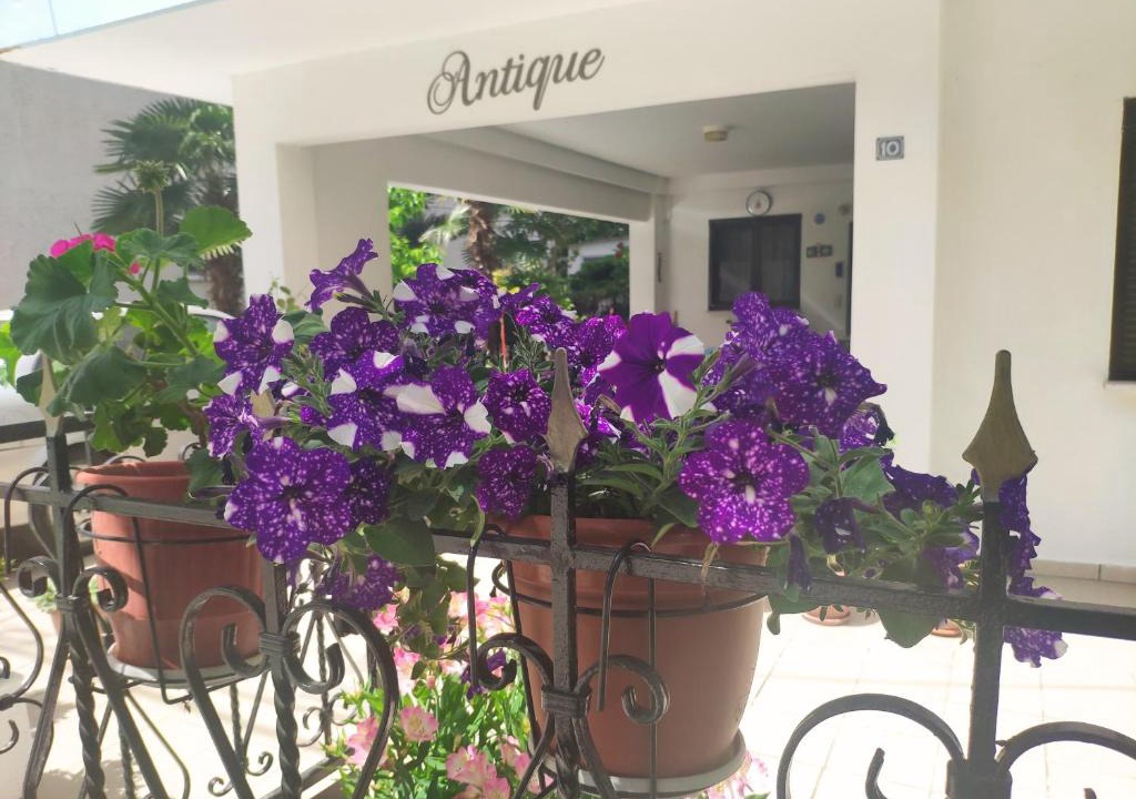 Olymbiaki Akti Apartment | Antique The Hotel