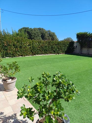 Kallithea Apartment | Artemisia Apartment