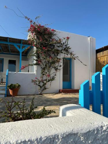 Kipri House | Asimina's beach house