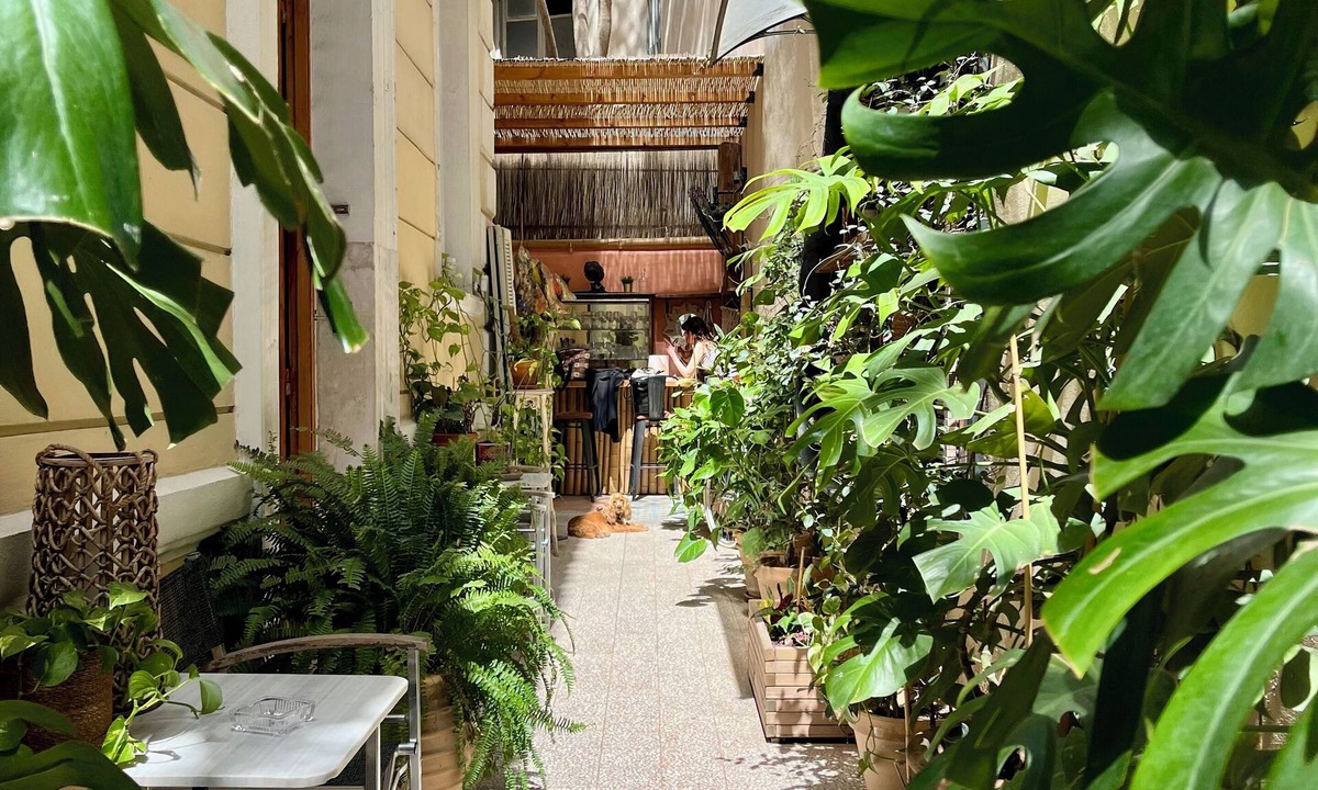Omonia Hostel | Baloo Hostel