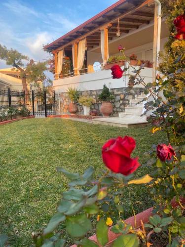 Gerakini Villa | Beautiful beach house