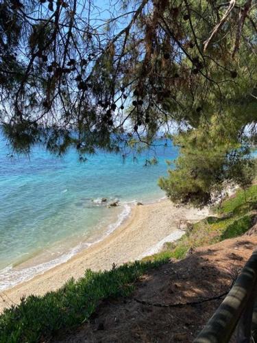Elia Apartment | Elia Sithonia Apartment