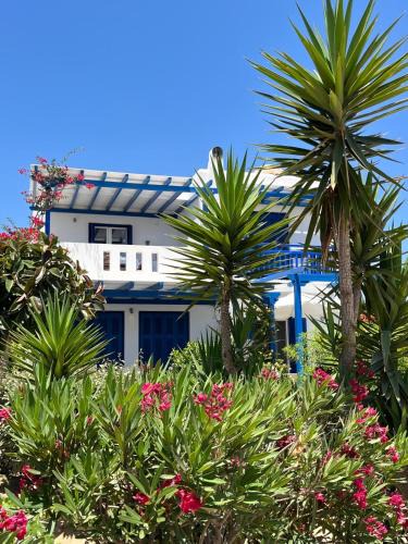 Naxos Apartment | Haus Asterakia