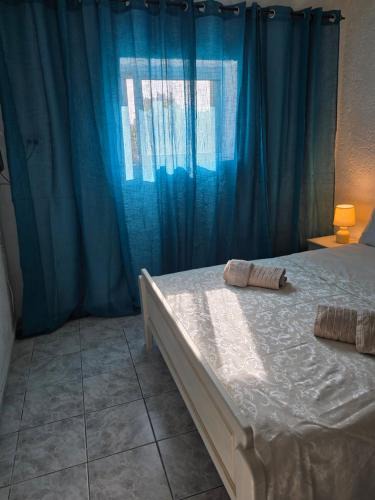 Lambi House | Lily's house near the beach