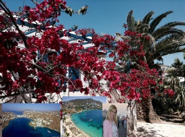 Ornos House | Magical Ornos! Beach House!Beach 1' walk-Mykonos town 2km