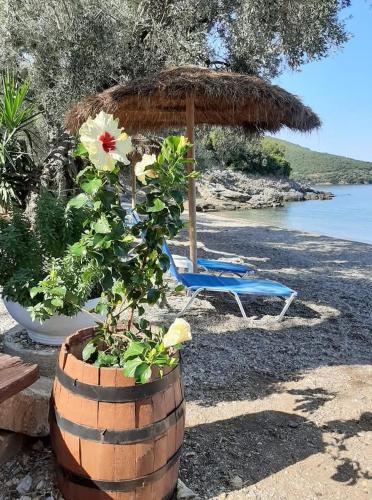 Kali Vrysi Other | Marathias beach Miss Asimenia