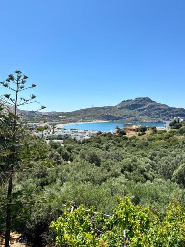 Agios Vasileios Apartment | Olive Grove