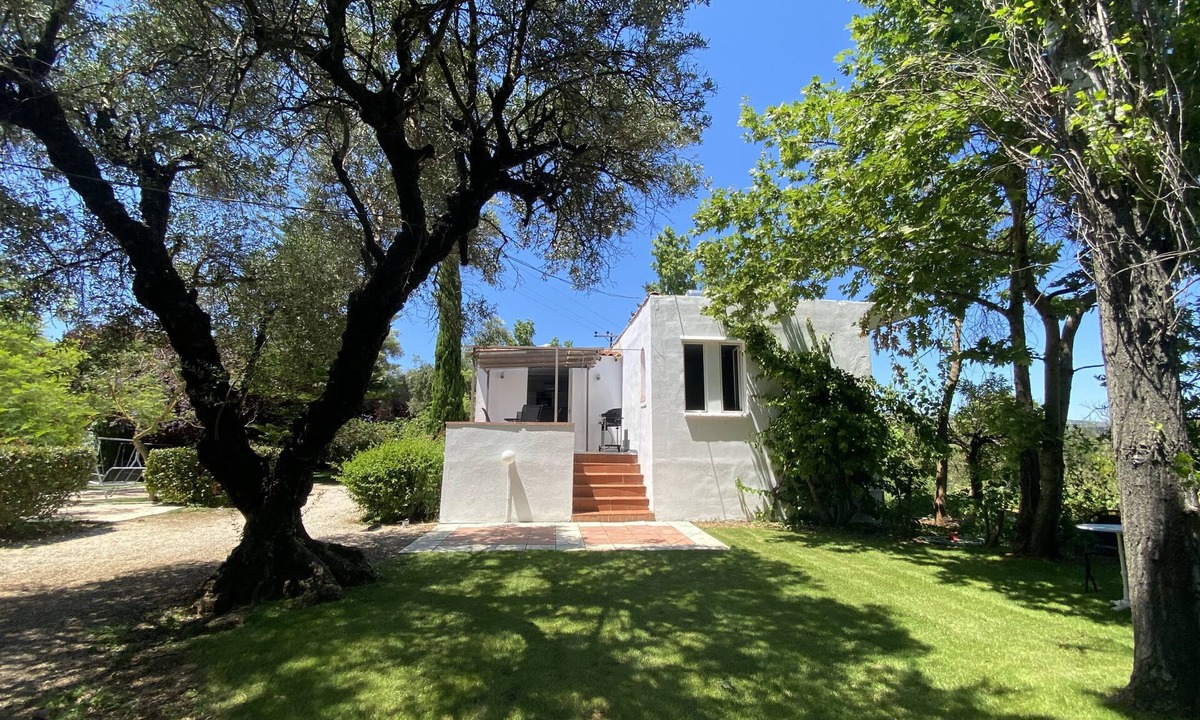 Tsikalaria House | Olivetree is set in our beautiful landscaped gardens close to the pool