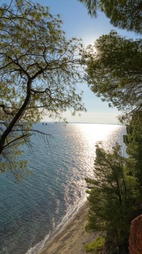 Metamorfosi House | Squirrel Beach Front Villa, Metamorfosi