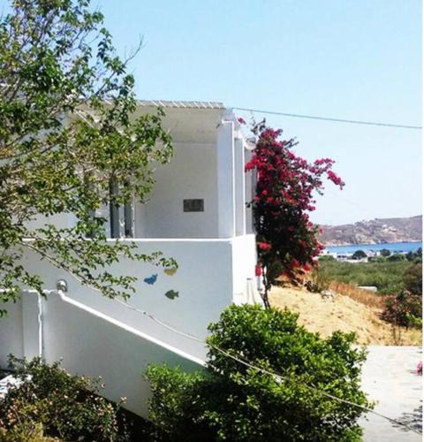 Serifos House | Starfish Villa