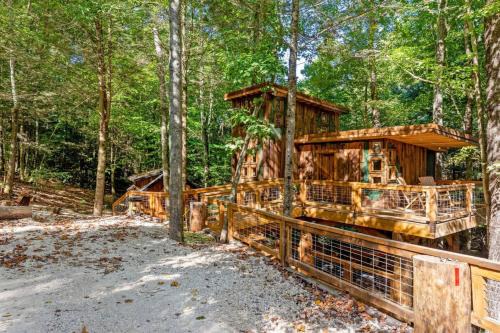 Rogers House | Treehouse - Amazonia - Red River Gorge KY