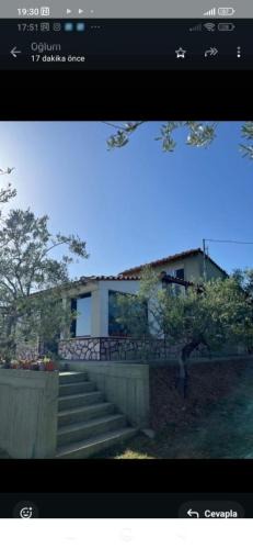 Alexandroupoli House | Ulivi e Mare