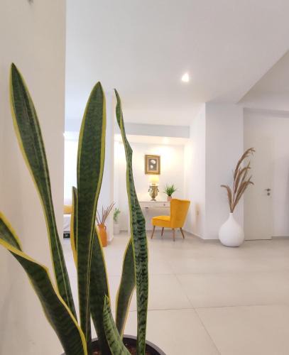 Molos House | Villa Areti