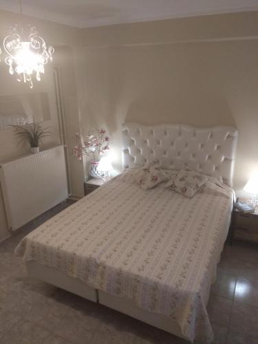 Olymbiaki Akti Hostel | Villa Elli