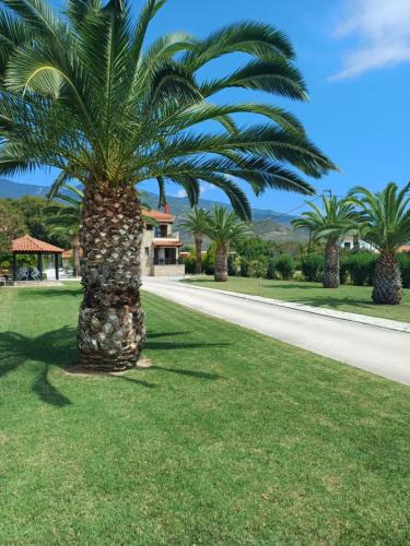 Platanidia Apartment | Villa Kallimanis