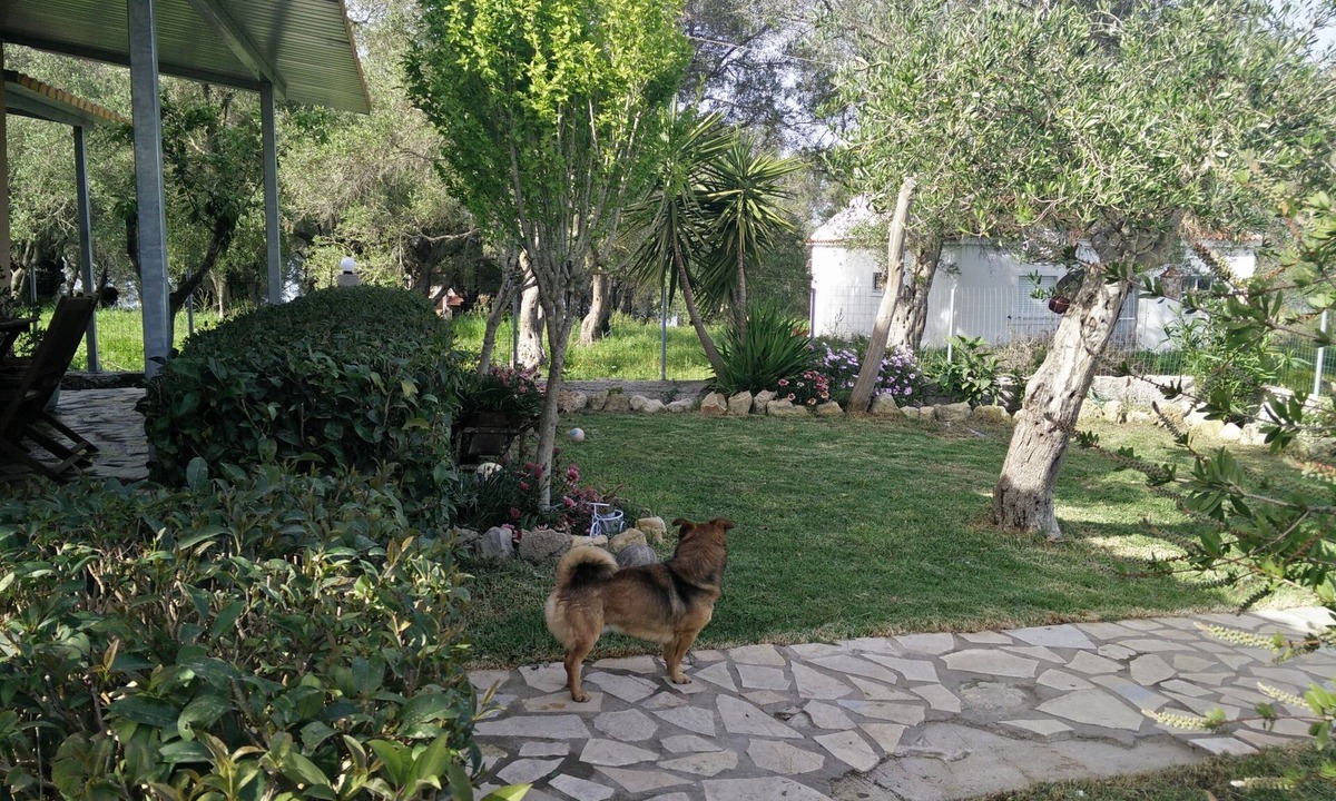 Notos House | Villa Lou Corfu - Kalivioti Beach