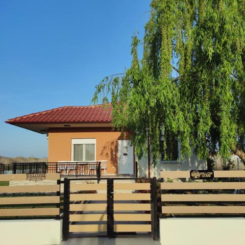 Nestos House | Willow Home