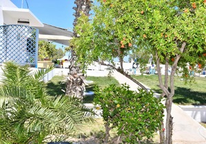 1-Bedroom Kos Olympia Apartment at Lambi Beach
