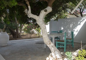 Agrikia Apartments No1-with garden at 300m to beaches - Paros