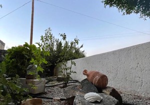 Akti Posidonos (2)