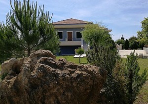 Alekos Beach Houses-Angelo