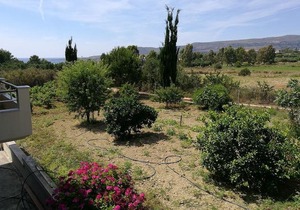 Alekos Beach Houses-Angelo