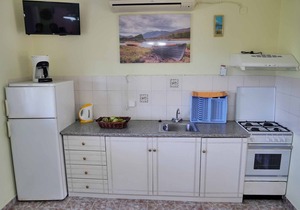 Apartment Yiannis 1 Agios Georgios Pagoni