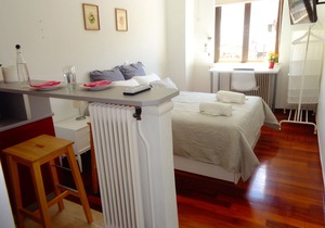 Cozy central studio, In walking distance to most places including the National A