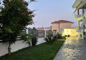 Elsa home