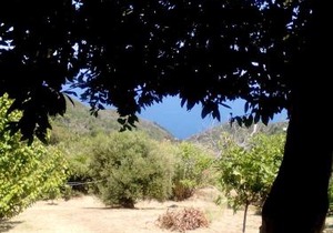 Nightingale Cottage Pelion