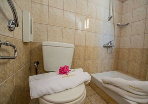 Standard room ground floor for 2 adults+1 child - pool view #1