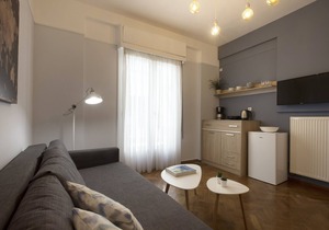 Syntagma/Apollonos 2 bedroom apartment