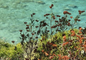 Traditional house, Village near relax-beach Shops Country-walks near Corfu town