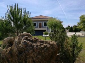 Alekos Beach | Kounopetra