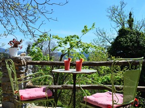 Grove Cottage Pelion | Milies