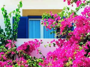 Patmos Paradise Hotel | Kampos