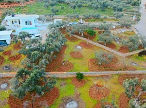 Villa Konaki | Sesi