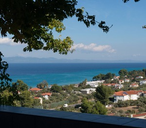 Blue Horizon 