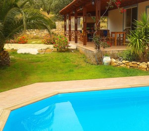 Villa Alexander 