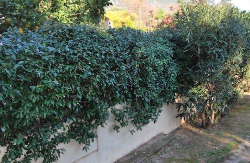 Nea Makri House | 122 m² House ∙ 3 bedrooms ∙ 5 guests