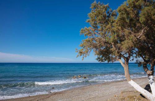 Agios Vasileios Bed & Breakfast | 15 m² Bed and breakfast ∙ 3 guests
