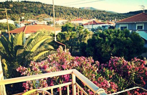 Skala Sotiros Bed & Breakfast | 15 m² Bed and breakfast ∙ 3 guests