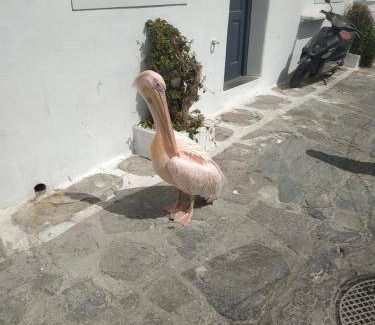 Little Venice Apartment | 25 m² Apartment ∙ 1 bedroom ∙ 2 guests