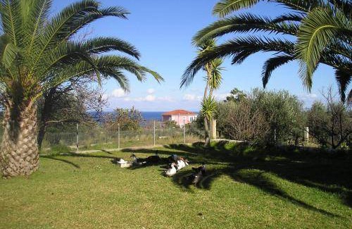 Skala Apartment | 28 m² Serviced apartment ∙ 2 guests