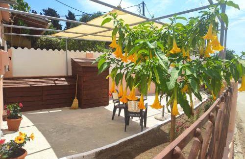 Argyrades Apartment | 30 m² Apartment ∙ 1 bedroom ∙ 2 guests