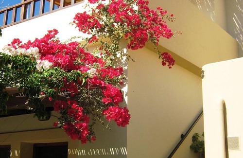 Sivas Apartment | 40 m² Apartment ∙ 1 bedroom ∙ 3 guests
